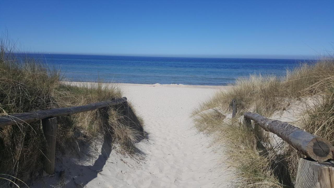 Urlaub Auf Der Insel Ruegen Διαμέρισμα Bergen Auf Rugen Εξωτερικό φωτογραφία