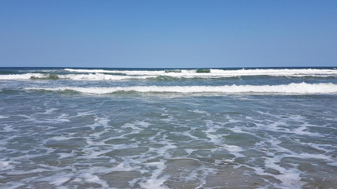 Urlaub Auf Der Insel Ruegen Διαμέρισμα Bergen Auf Rugen Εξωτερικό φωτογραφία