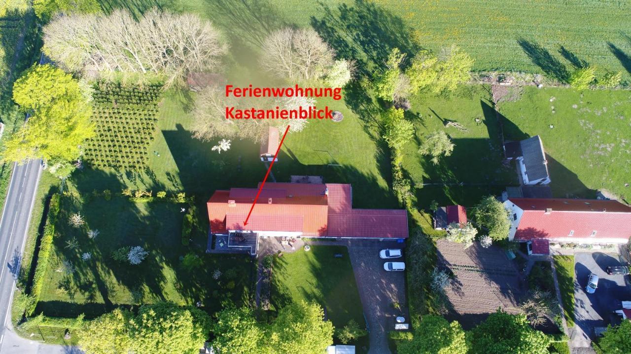 Urlaub Auf Der Insel Ruegen Διαμέρισμα Bergen Auf Rugen Δωμάτιο φωτογραφία