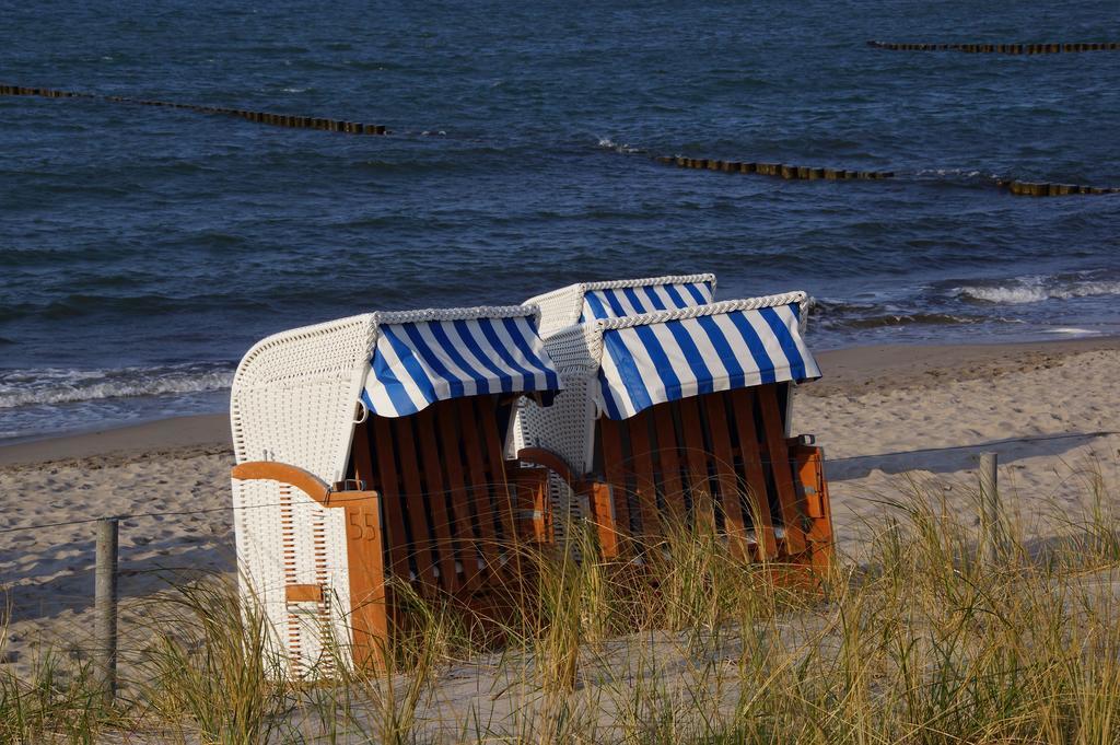 Urlaub Auf Der Insel Ruegen Διαμέρισμα Bergen Auf Rugen Εξωτερικό φωτογραφία