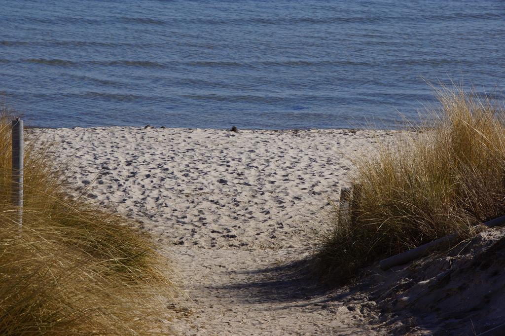 Urlaub Auf Der Insel Ruegen Διαμέρισμα Bergen Auf Rugen Εξωτερικό φωτογραφία