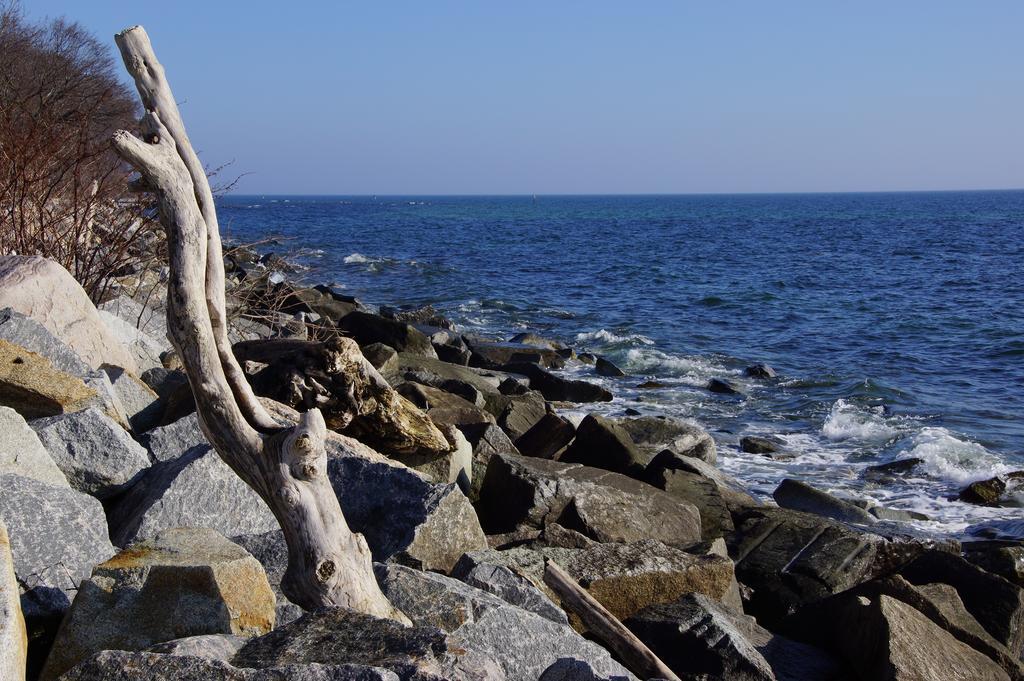 Urlaub Auf Der Insel Ruegen Διαμέρισμα Bergen Auf Rugen Εξωτερικό φωτογραφία